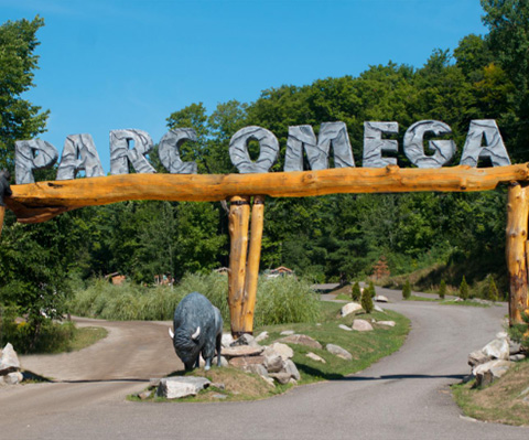 Infrastructure sans fil pour les TI du Parc